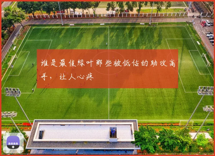 谁是最佳绿叶那些被低估的助攻高手,让人心疼