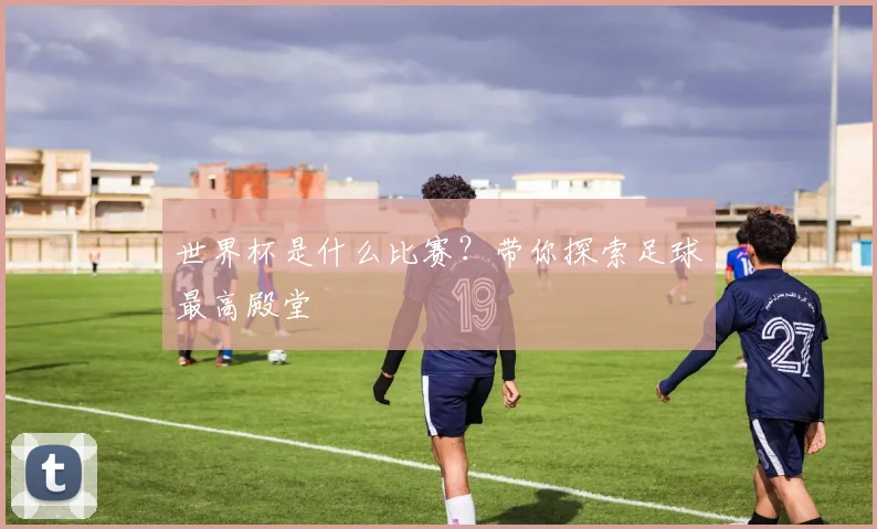 世界杯是什么比赛？带你探索足球最高殿堂
